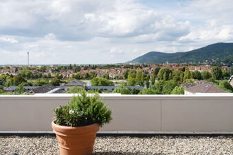 Terracotta pot with herbs on gravel terrace overlooking green trees, rooftops, and hills at Leonardo Hotel Heidelberg City Center