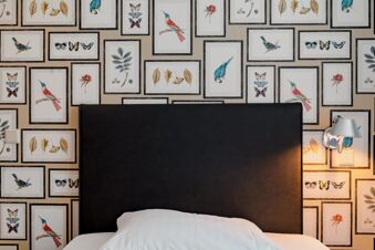 Black headboard with white bedding beneath wall covered in framed bird, butterfly, flower, and leaf illustrations at Gasthaus Backmulde - Hotel
