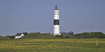 Hotel Hansa - Umgebung