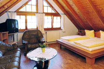 &Uacute;tuln&aacute; izba s dreven&yacute;m tr&aacute;mov&yacute;m stropom, manželskou posteľou, poseden&iacute;m s kožen&yacute;mi kreslami a TV v hoteli Gasthaus Zur Linde Diersburg.