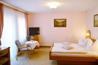 Hotel Gasthaus Zur Linde Diersburg room with double bed, armchair, TV on wooden cabinet, and table with plant near window