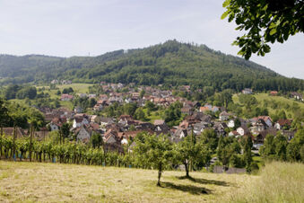 Krajina s v&yacute;hľadom na dedinu a zalesnen&eacute; kopce, okolie ukazuje pr&iacute;rodu v okol&iacute; hotela Gasthaus Zur Linde Diersburg.