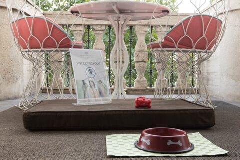 Two white wireframe chairs with red cushions at a round table on a balcony with a dog bowl and sign at Grand Hotel Palace