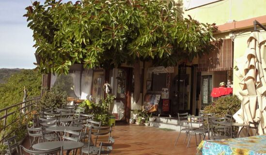 Outdoor terrace seating with multiple metal tables and chairs under a large tree at Pensione Ristorante Bellavista