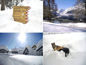 Verschneite Winterlandschaft mit Wanderwegweiser, Bergen, tiefem Schnee und Hunden vor Bauernhof Villgrater am Ort.