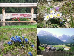 Eine Collage zeigt eine Holztafel der Hofk&auml;serei Unteroltl, alpine Blumen und eine Berglandschaft mit Dorf im Tal, aufgenommen am Bauernhof Villgrater am Ort.