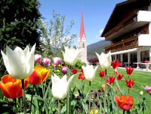 Fargerike tulipanblomster i hagen til Hotel Waldheim med utsikt til en kirke og fjell under en klar himmel.