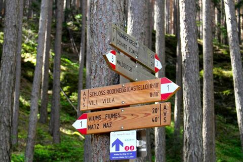 Semnalizare &icirc;n pădure cu diverse destinații de drumeție &icirc;n fața copacilor, imagine simbolică pentru activități &icirc;n aer liber &icirc;n apropierea Hotelului Waldheim.