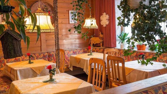 Espace restaurant confortable de l'h&ocirc;tel Maria avec des meubles en bois, des plantes d&eacute;coratives et une ambiance lumineuse chaleureuse.