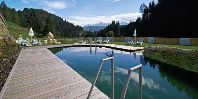 En naturlig udend&oslash;rs pool med tr&aelig;brygge og liggestole i en skovkulisse, en del af Hotel Schwarzenbach med en rolig beliggenhed.