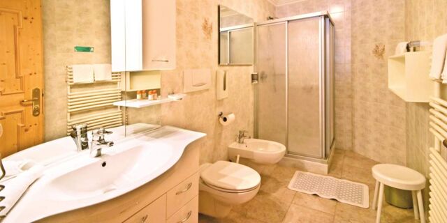 Lyst indrettet badev&aelig;relse med bruser, toilet, bidet og stor h&aring;ndvask p&aring; Hotel Schwarzenbach, udstyret med h&aring;ndkl&aelig;der og spejle.