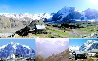 Four views of Hotel Alpenhof surrounded by snow-capped mountains and rocky alpine terrain under clear skies