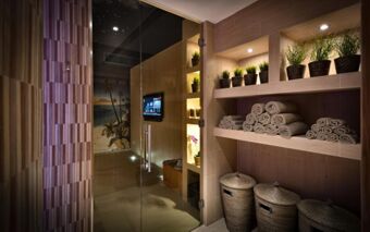 Wood-paneled spa room at Eurohotel Milan Hotel with rolled towels on shelves, potted plants, wicker baskets, and a glass door reflection