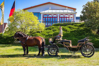 Two horses hitched to a carriage with a driver in front of a green hill and Hotel am Gothensee building in the background