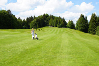 Ferienwohnungen W&ouml;rz - окрестность