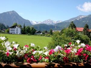 Colorful pink and white flowers in front of a green field with houses and snow-capped mountains at G&auml;stehaus zur F&auml;rbe Ferien-Appartements