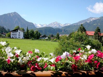 Colorful pink and white flowers in front of a green field with houses and snow-capped mountains at G&auml;stehaus zur F&auml;rbe Ferien-Appartements