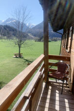 Wooden balcony with a wicker chair at Landhaus Berktold overlooking a green field, a tree, and snow-capped mountains in the distance