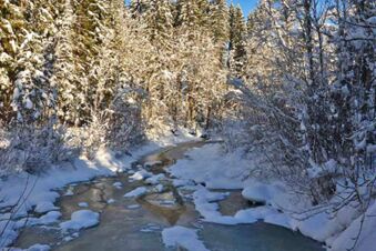 Verschneite Winterlandschaft mit gefrorenem Fluss und schneebedeckten B&auml;umen im Wald nahe dem Panorama-Hotel Kaserer.