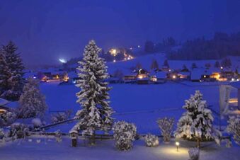 Winterliche Landschaft mit schneebedeckten B&auml;umen und H&auml;usern bei Nacht, aufgenommen vom Panorama-Hotel Kaserer.