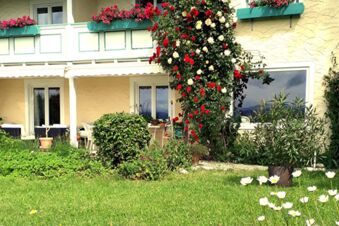 Pension G&auml;stehaus Alpenblick with yellow facade, white and red roses climbing wall, green shrubs, and flower boxes with pink flowers