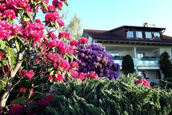 Pension G&auml;stehaus Alpenblick with pink and purple flowering bushes and dense green shrubs under a clear blue sky
