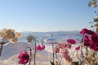 Pension G&auml;stehaus Alpenblick - Zahrada