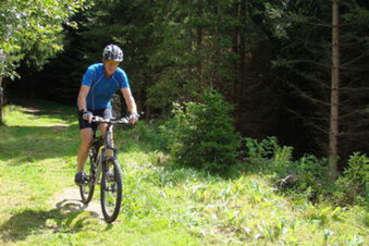 Ein Mann f&auml;hrt mit Fahrrad auf einem Waldweg entlang einer gr&uuml;nen Lichtung, perfekte Outdoor-Aktivit&auml;t beim Gasthof-Metzgerei St&ouml;berl.