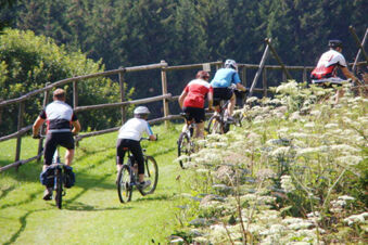 F&uuml;nf Radfahrer fahren auf einem gr&uuml;nen Weg entlang einer bl&uuml;henden Blumenwiese in der Natur beim Gasthof-Metzgerei St&ouml;berl.