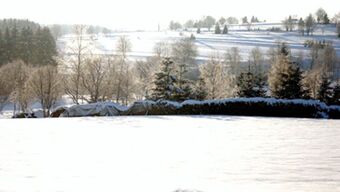 Snow-covered fields and trees with hills in the background near Hotel Post Nordhalben under clear sky