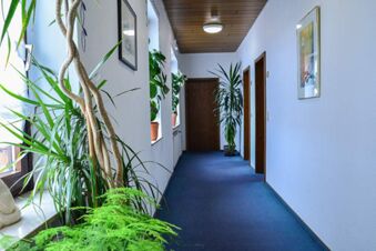 Long hallway with blue carpet, white walls, potted plants near windows, and wooden doors in Posthotel Johannesberg