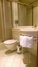 Bathroom with a white toilet, a sink with white towels hanging, a mirror above, and a shower at Hotel & Metzgerei See