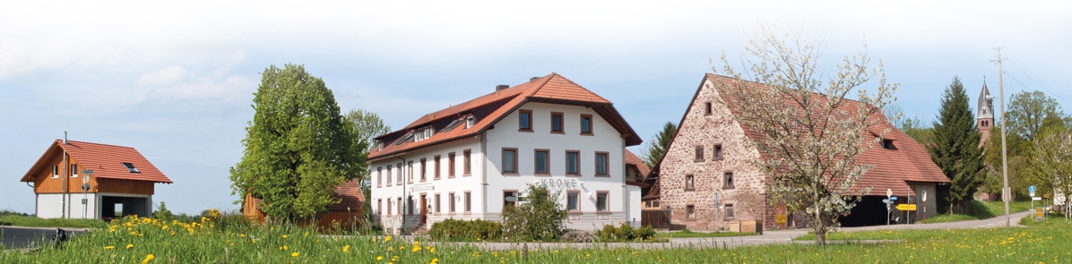 Gasthof Zur Krone - Gli esterni