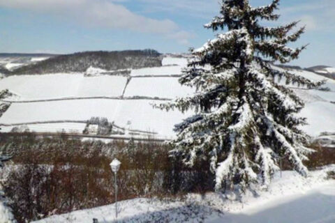 Snow-covered large evergreen tree with snow-covered fields and hills in the background at Burg-Hotel Obermoschel