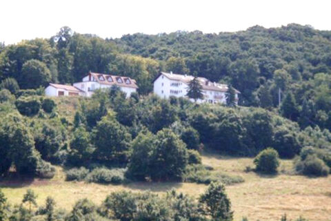 Two white buildings on a forested hillside surrounded by green trees and grassland at Burg-Hotel Obermoschel