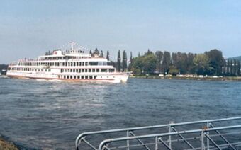 Velika potni&scaron;ka ladja pluje po Renu v bližini hotela Rheinhotel Zum Anker, v ozadju so drevesa ob reki in stavba.
