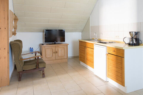 Living area in Landgasthof Bieg with a green armchair, wooden TV cabinet holding a flat screen, and kitchenette with appliances and sink