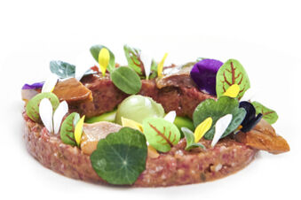 Circle of raw minced meat garnished with various green leaves, yellow and white flower petals and a green sphere at the center on a white plate from Landgasthof Restaurant Adler