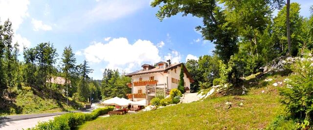 Hotel Albergo Nido Verde se nach&aacute;z&iacute; v zelen&eacute; zalesněn&eacute; krajině se slunečn&iacute;ky a terasou před hotelem.