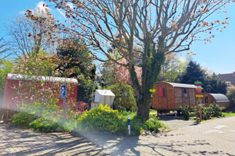 Sunny outdoor area at Hotel Columbus & Glamping with wooden caravans, blooming trees, green shrubs, and a paved parking lot