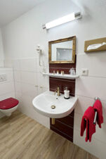 Hotel Columbus & Glamping bathroom with white sink, gold faucet, red towel, red toilet seat, mirror, and wall-mounted hairdryer