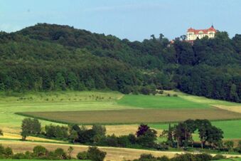 Rh&ouml;ngasthof Zur Linde & Ferien-Appartements Rh&ouml;nsicht with a large building on a wooded hill above green fields under a clear sky
