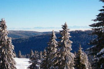 Hotel Gasthaus Hirschen - окрестность