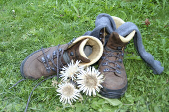 Hotel Gasthaus Hirschen - свободное время