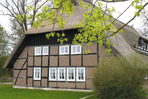 Traditionelles Fachwerkhaus mit Reetdach und wei&szlig;en Fenstern umgeben von Fr&uuml;hjahrsgr&uuml;n beim Ferienhof Klaucke, idyllisch gelegen.