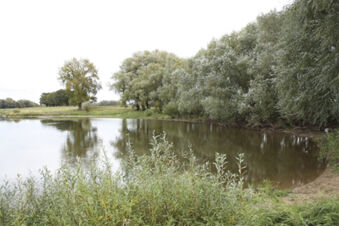 Nat&uuml;rliche Landschaft mit einem kleinen See und B&auml;umen, die sich im Wasser spiegeln, nahe Ferienhof Klaucke gelegen.