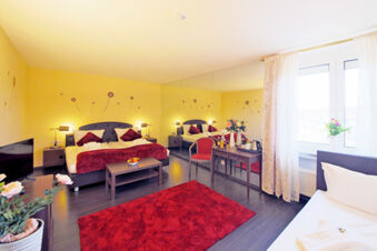 Helles Hotelzimmer im Hotel Kick mit Doppelbett, Spiegelwand, rotem Teppich, Schreibtisch und Fenster mit Vorh&auml;ngen.