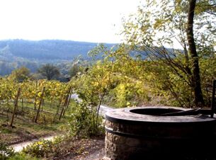 Winzerhof Bregler Weingut & G&auml;stehaus - Umgebung