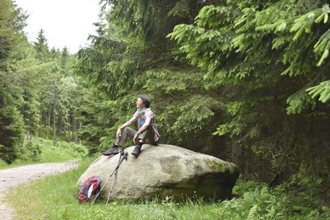 Wanderin macht Pause auf einem gro&szlig;en Felsen im Wald, umgeben von gr&uuml;nen B&auml;umen beim Bauernhof W&auml;ldebauernhof.