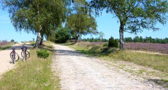 Two bicycles parked near trees alongside a cobblestone path and heather field at Landhaus Heide Romantisches Heidehotel Garni Nichtraucher